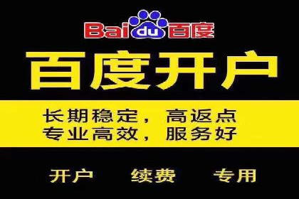 初学者的百度竞价推广：成功案例揭秘